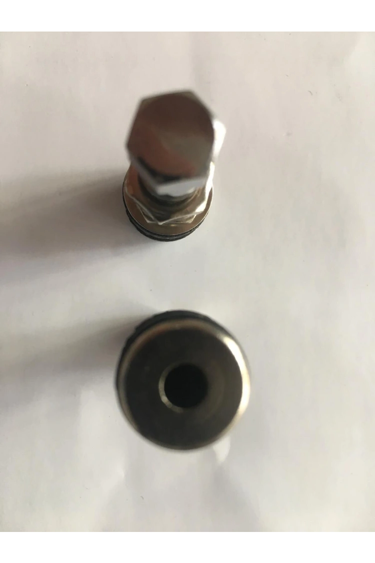 Motosiklet ve otomobil Tubeless Çelik Dik Subop 2 Adet