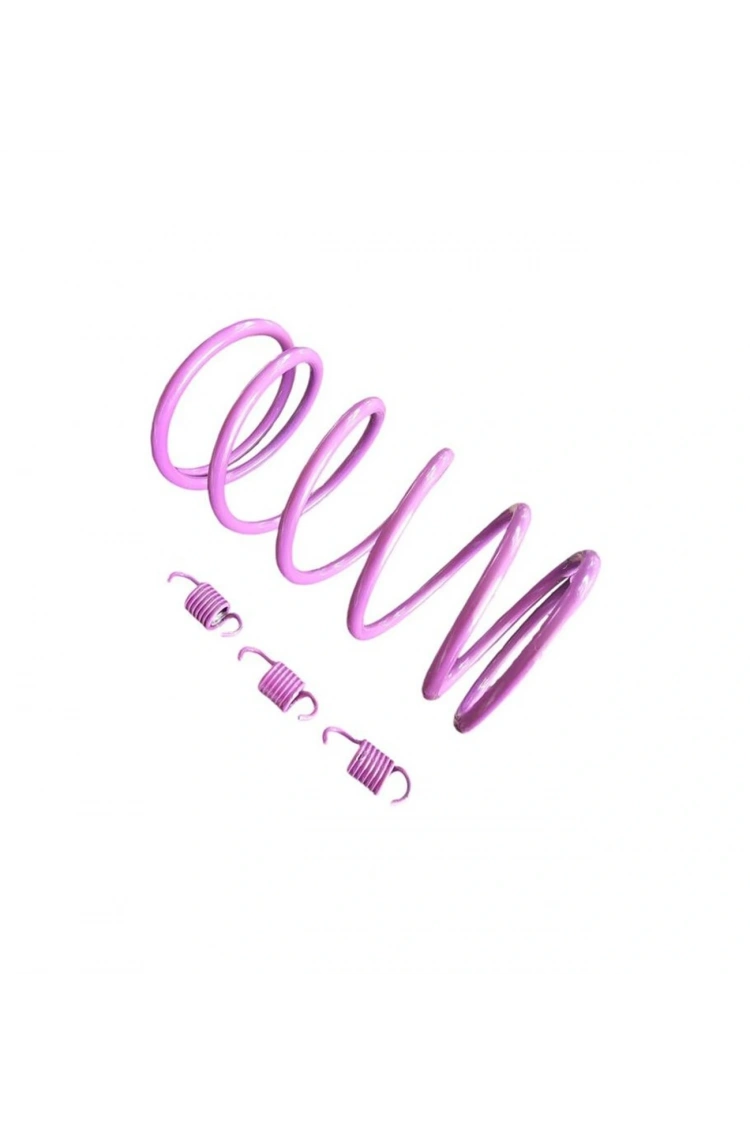 Voge sr1 125 cc Motosiklet Arka Varyatör Performans Yayı + Balata Yayı