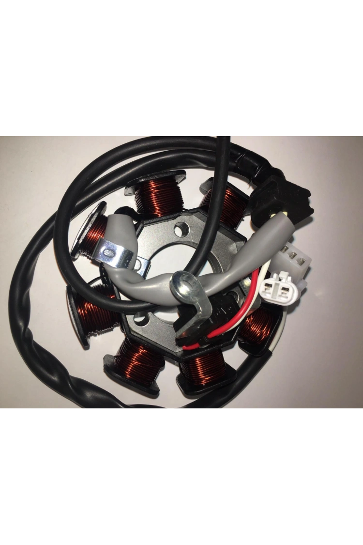 Ybr 125 2009 E-2 Statör Komple