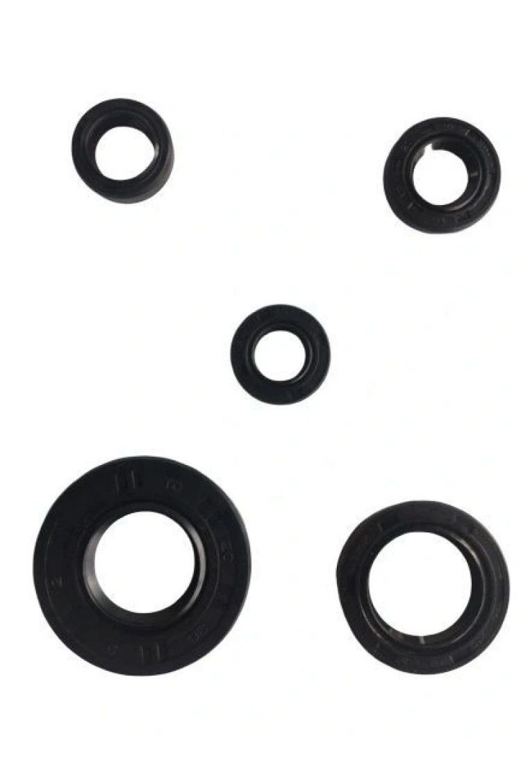 Ybr 5 Li Krank Motor Keçe Seti