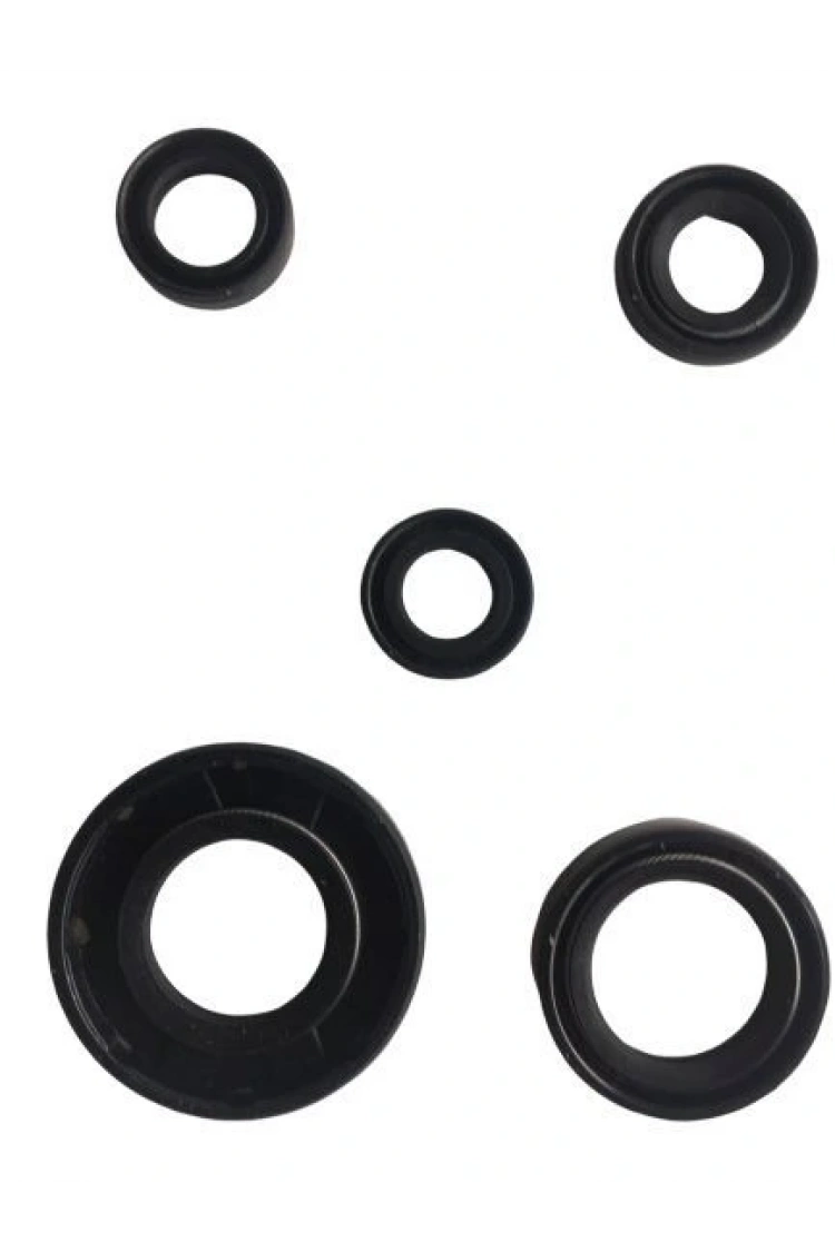 Ybr 5 Li Krank Motor Keçe Seti