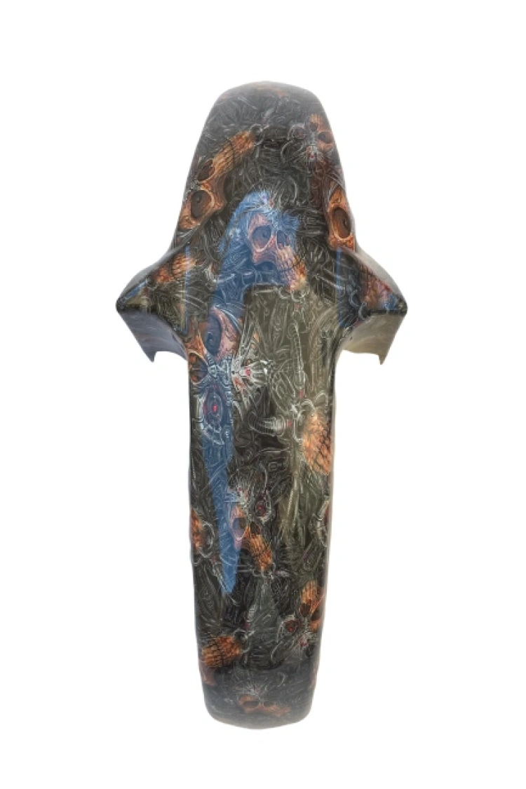 Ybr K Ön Çamurluk Karbon Kaplama Ebrili Kurukafa