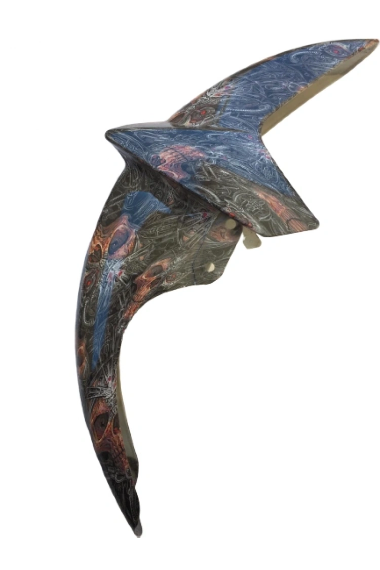 Ybr K Ön Çamurluk Karbon Kaplama Ebrili Kurukafa