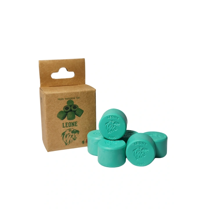 Arora GT 125cc Leone Performans Bagası 16.5 gram