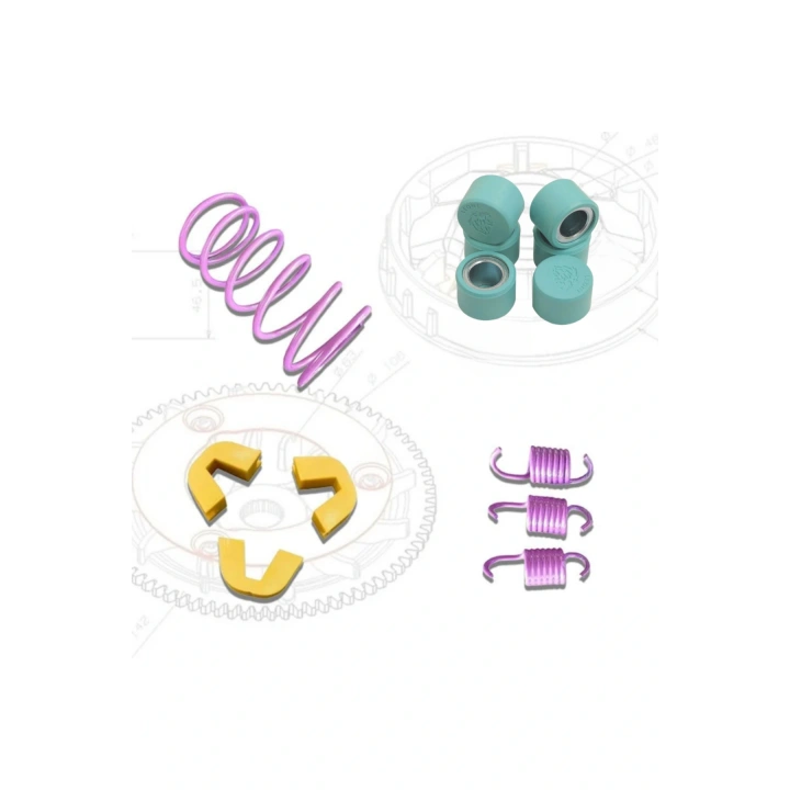 Arora Quantum 125 Performans Paketi (Baga 13.5 Gr)