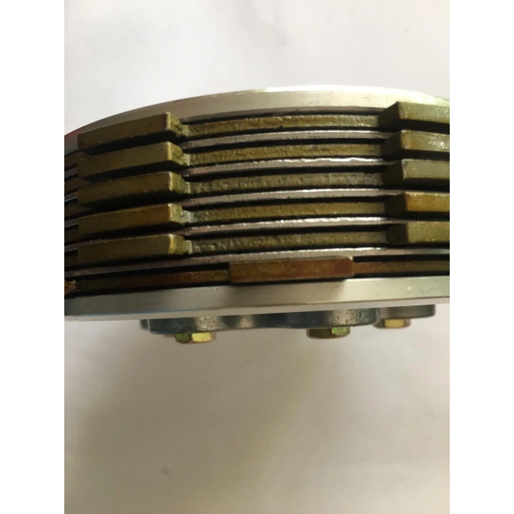 Cg Debriyaj Baskı 6Balata 6lı Baskı OEM