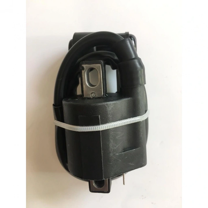 Cg Dış Bobin+Buji Başlıklı Asya Mondial Falcon