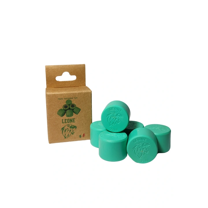 Honda Forza NSS 300cc Leone Performans Bagası