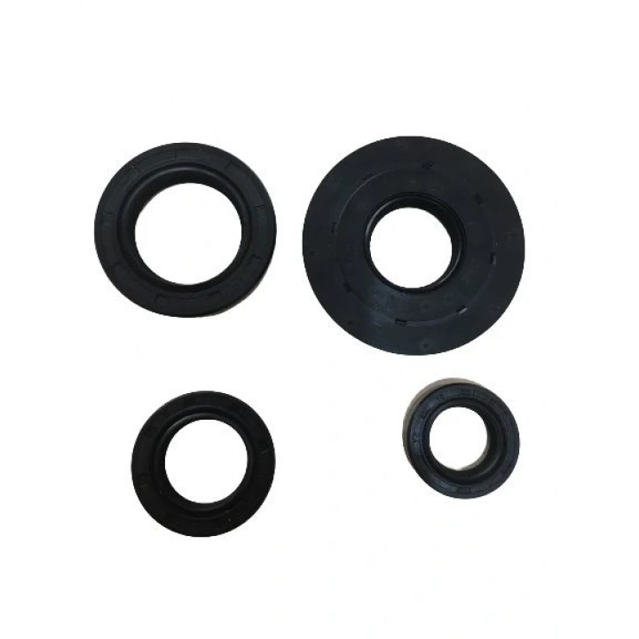 HONDA SPACY 110/ALPHA DYLAN/PS 150 KEÇE SETİ 4LÜ