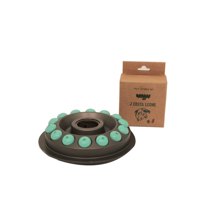 J.COSTA XCİTY 250CC Performans Bagası 15GR (12 Adet)