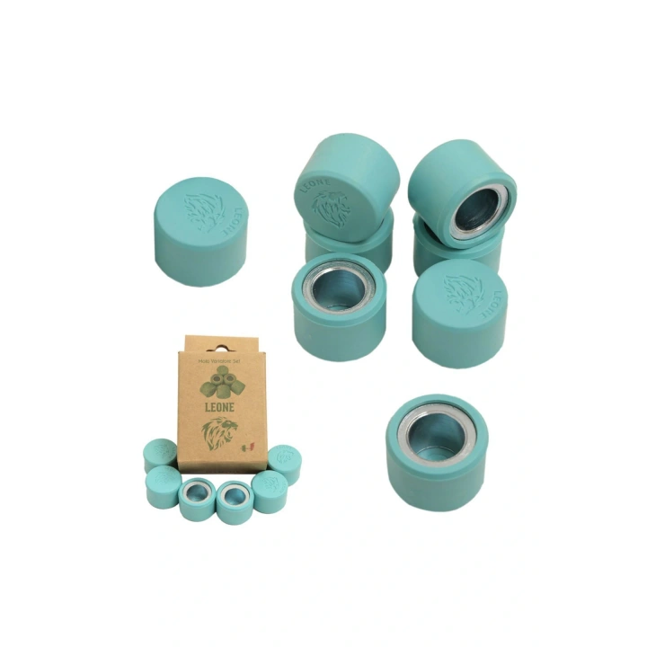 Leone TVS Ntorq 125 18 gr Performans Bagası