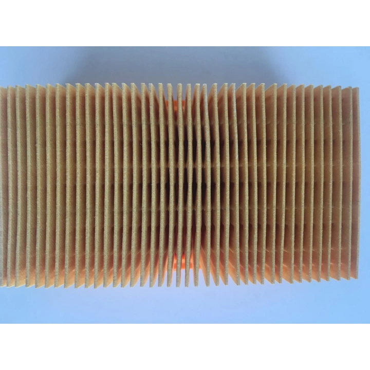 Mahle LX820 Hava Filtresi BMW F650 CS, G650