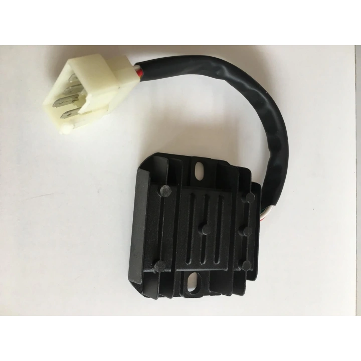 Scooter Regülatör Rs Hs Konjektör 5Li Büyük Fiş