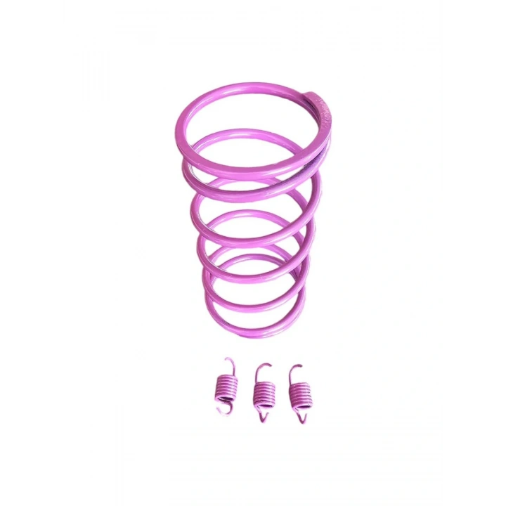 Speed Up Honda Dio 125CC Motosiklet Arka Varyatör Performans Yayı + Balata Yayı