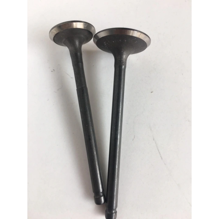 Subop Takımı Honda Spacy 110 Oem Kalite subap TK