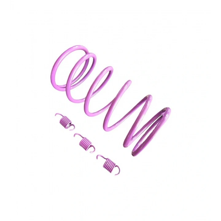 Voge sr1 125 cc Motosiklet Arka Varyatör Performans Yayı + Balata Yayı