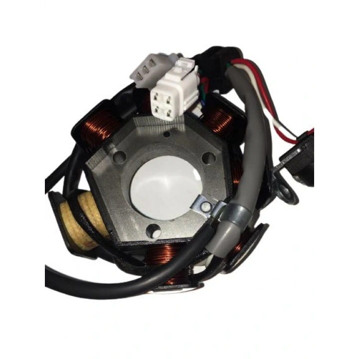 Yamaha Ybr 125 Statör Komple 2004/2006 Oem