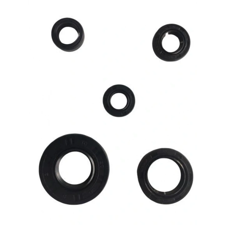 Ybr 5 Li Krank Motor Keçe Seti