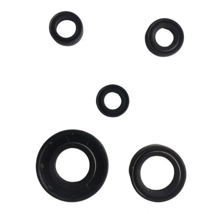 Ybr 5 Li Krank Motor Keçe Seti