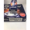 Buji 2202 Dpr8eıx-9 Irıdum Xmax 250