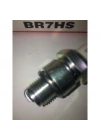 Buji 7852 BR7HS Ngk