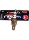 Buji CR7EIX Ngk IRIDIUM