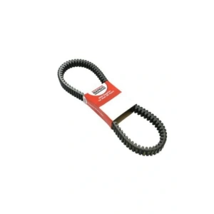 Polaris Sports-man 500-570-700-800cc B3-22123 Bando 1007 Çift Yönlü Japon