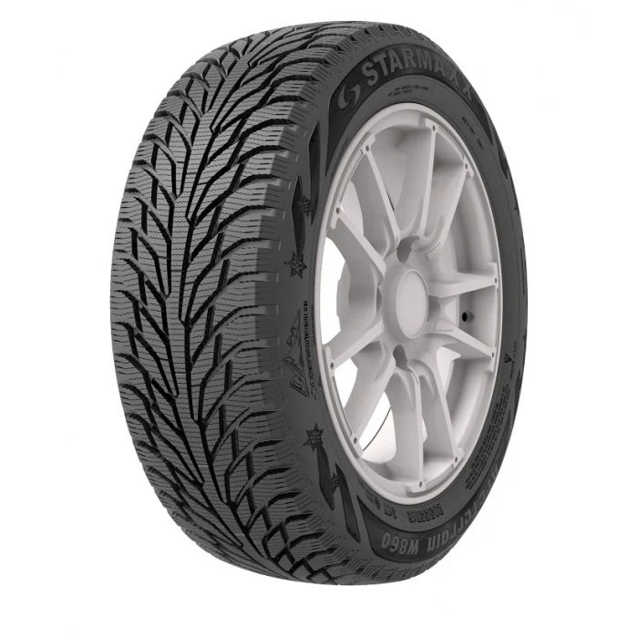 205/55R16 TL 91T ARCTERRAIN W860 STARMAXX