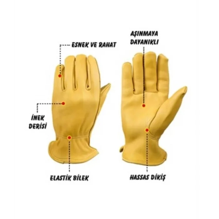 Nurgaz Campout Dana Derisi Eldiven