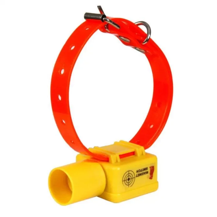 Leader Beeper Tasma 2010