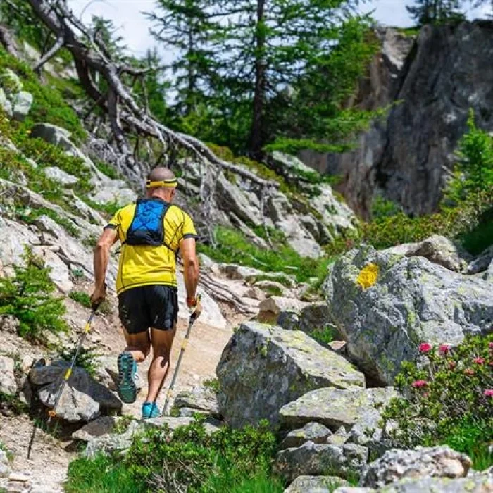 Grıvel Traıl 3 Parça 112 Cm Yürüyüş Batonu Potra3.12P