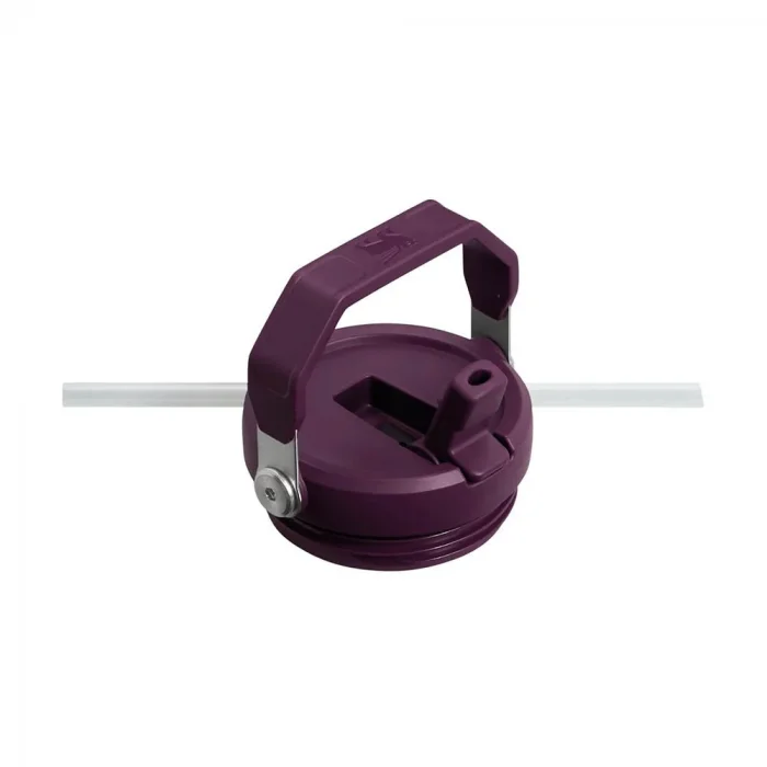 Stanley IceFlow Flip Straw Pipetli Termos Bardak Tigerlilly Plum Turuncu 0,89 LT