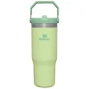 Stanley IceFlow Flip Straw Pipetli Termos Bardak Citron Açık Yeşil 0,89 LT
