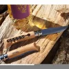 Opinel Inox 10 No Kayın Saplı Paslanmaz Çelik Tirbüşon & Çakı