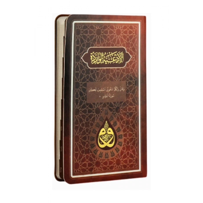 Dua Cep Boy - Taba