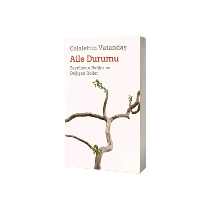 Aile Durumu
