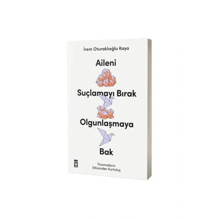 Aileni Suçlamayı Bırak Olgunlaşmaya Bak