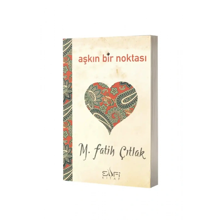 Aşkın Bir Noktası