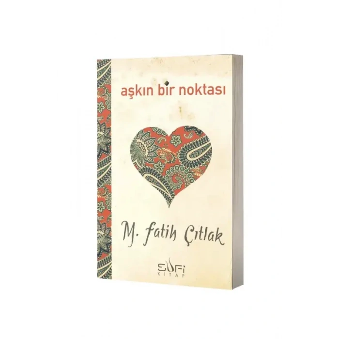 Aşkın Bir Noktası