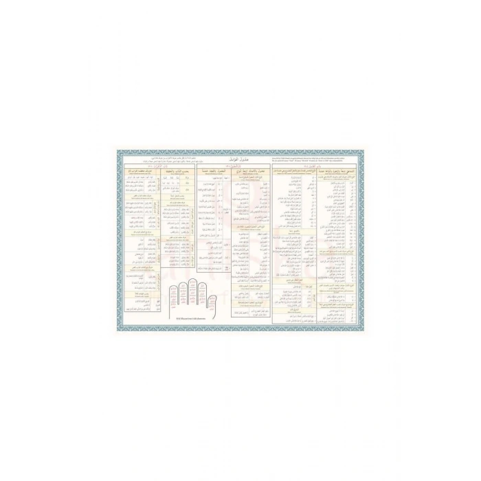 Avamil Şeması Renkli