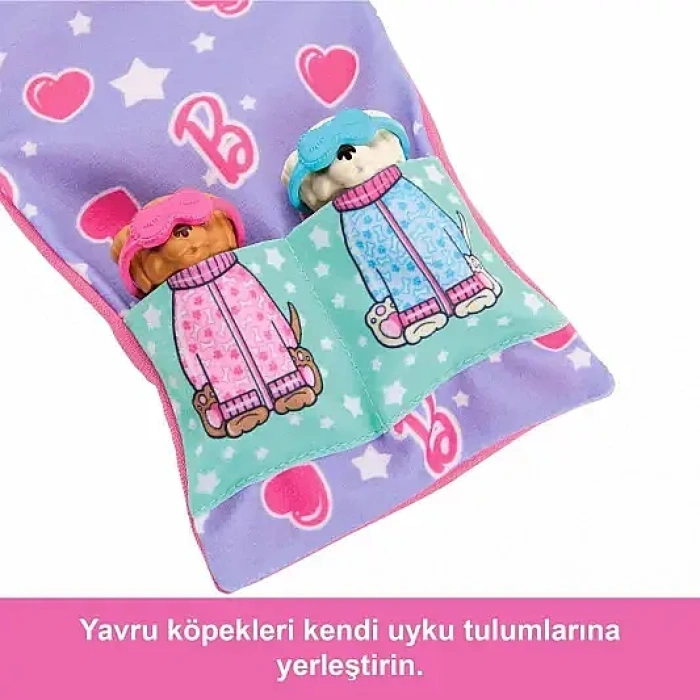 Barbie Barbie Ve Köpekçikleri Pijama Partisi Oyun Seti