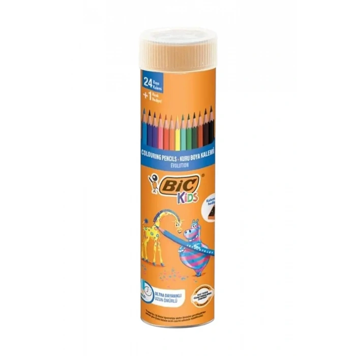 Bic Evolution Kuruboya Kalemi 24Lü Tüp