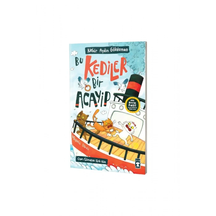 Bu Kediler Bir Acayip