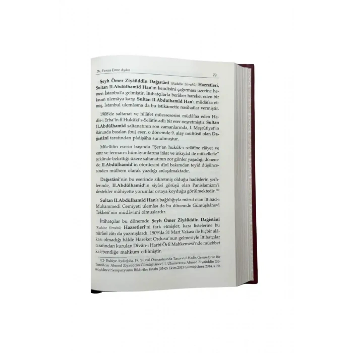 Çınarın Kemali Sultan II. Abdülhamid Han