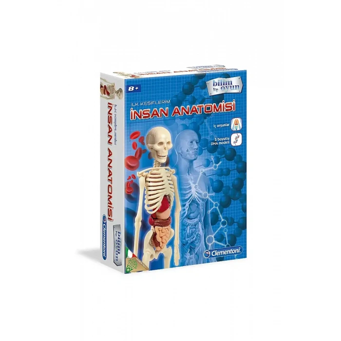 Clementoni İlk Keşiflerim İnsan Anatomisi