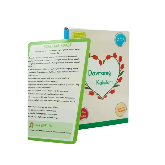 Davranış Kalıpları