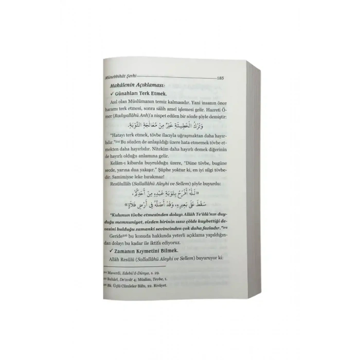 Dostça Tembihler Münebbihat Tercümesi