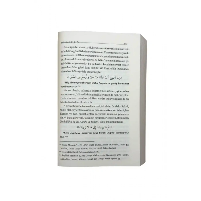 Dostça Tembihler Münebbihat Tercümesi