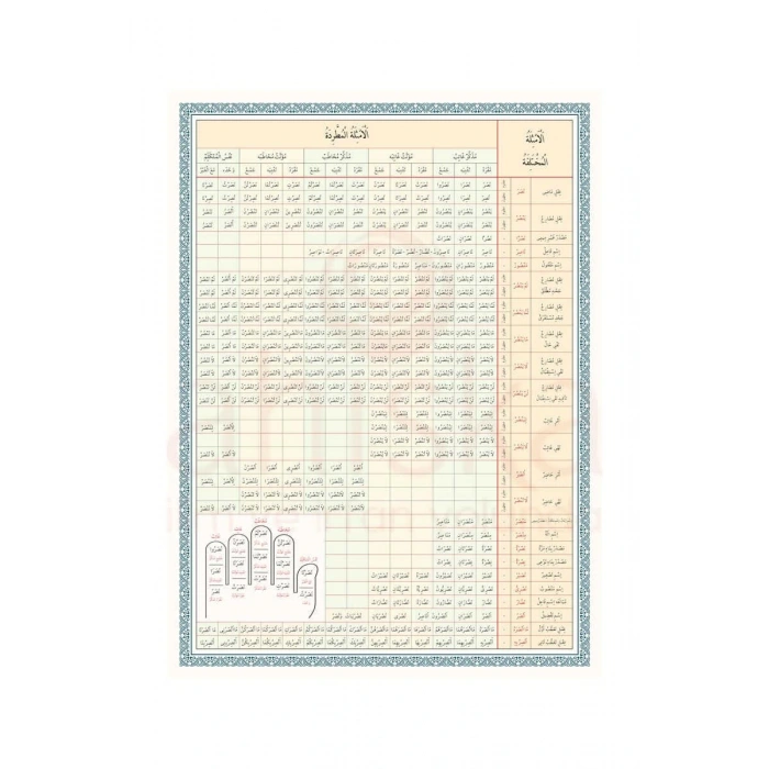 Emsile Bina Şeması Renkli