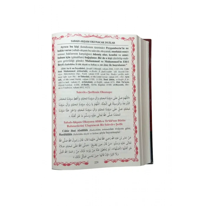 Ezkar ve Deavat Külliyatı 2. Cilt